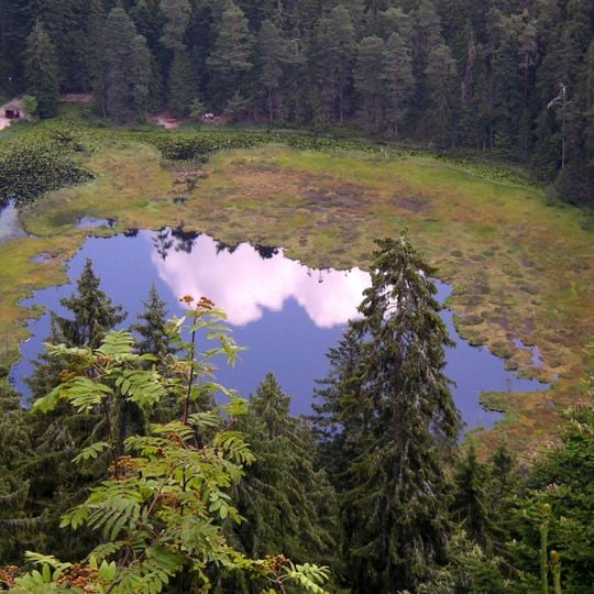 Black Forest National Park