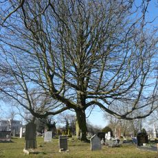 Camberwell Cemeteries