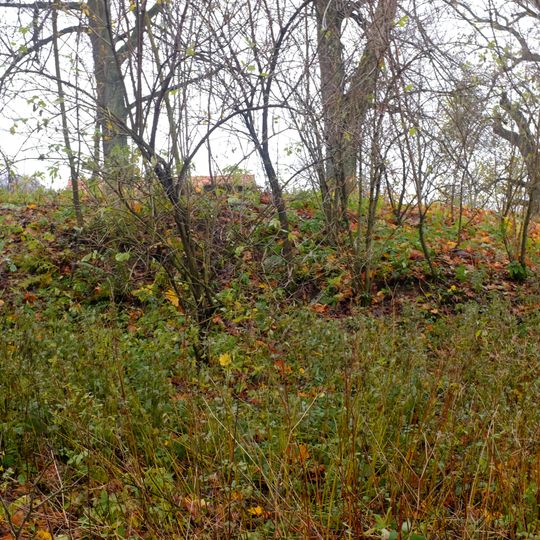 Fortress in Kostelní Bříza