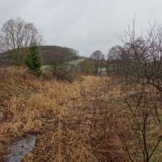Feuchtgrünland am Hengsbecker Bach