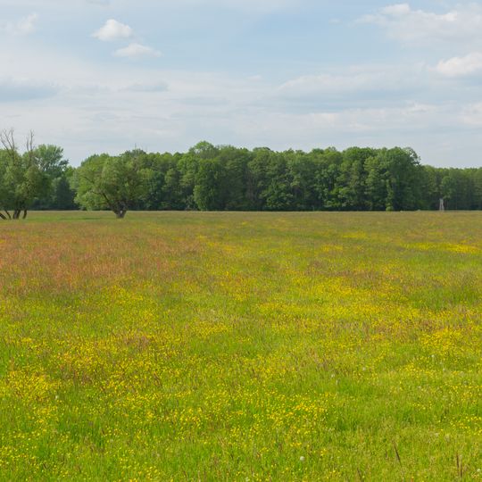 Ellerborn, Ribocka und Ragower Niederungswiesen