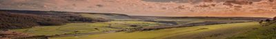 Panoramic View 0