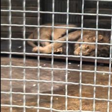 Xuzhou Zoo