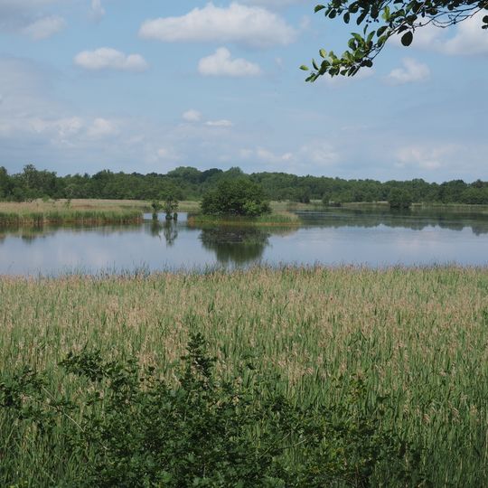 Entenfang Boye und Grobebach
