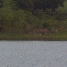 Lake Texoma