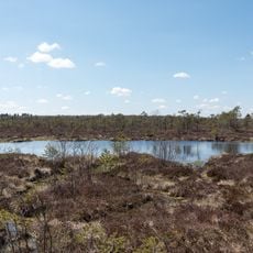 Schwarzes Moor (BR)