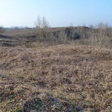 Abov (chránené územie)