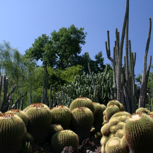Huntington Desert Garden