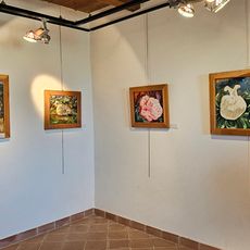 Museo Storico e Pinacoteca "Carlo Levi"
