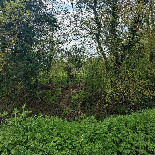 Burgate Hall moated site