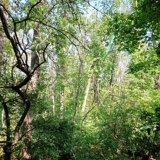 Azovs'ka Dacha Nature Reserve