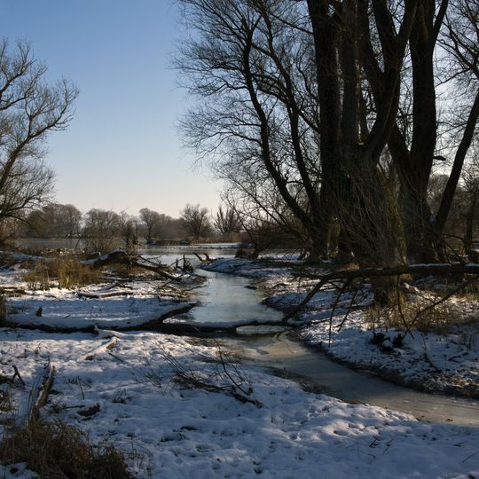 Donau und Altwässer zwischen Regensburg und Straubing