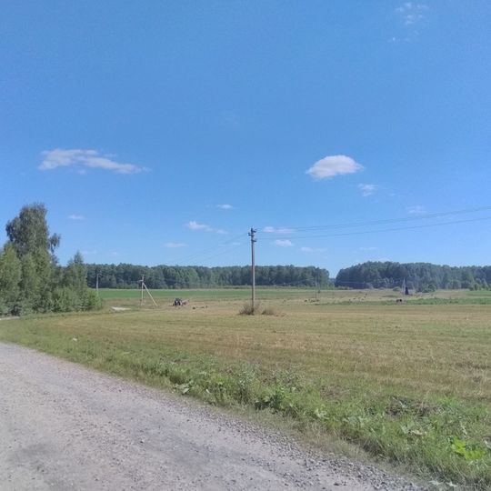 Gorkovskoye Rural Settlement