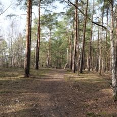 Saarmunder Berg