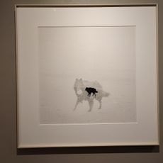 Gallery Camera Obscura