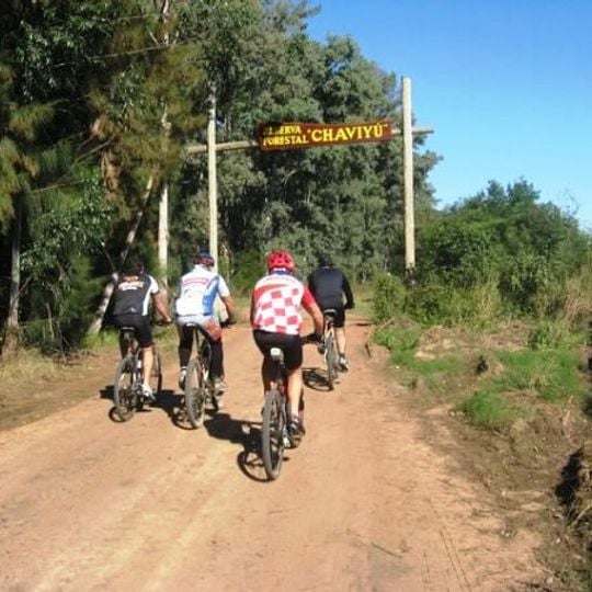 Reserva forestal Chaviyú