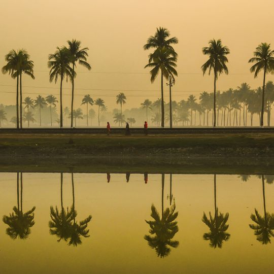 Parco nazionale di Nijhum Dwip