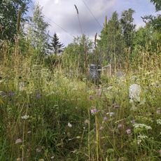 Братская могила советских воинов (Леппясюрья)