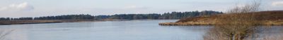 Panoramic View 1