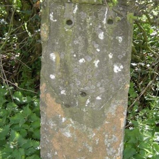 Milestone, between Tinkers Lane & road to West Bourton