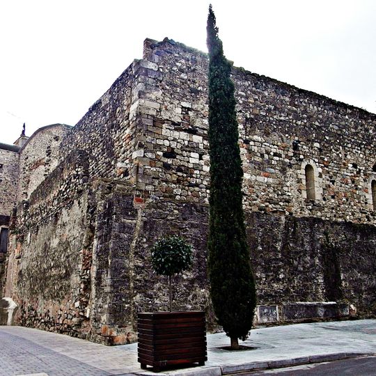 Castell de la Selva del Camp