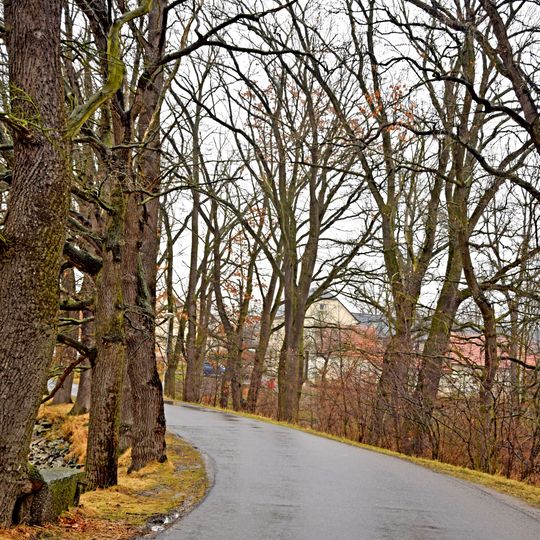 Hráz rybníka s výpustí a alej dubů