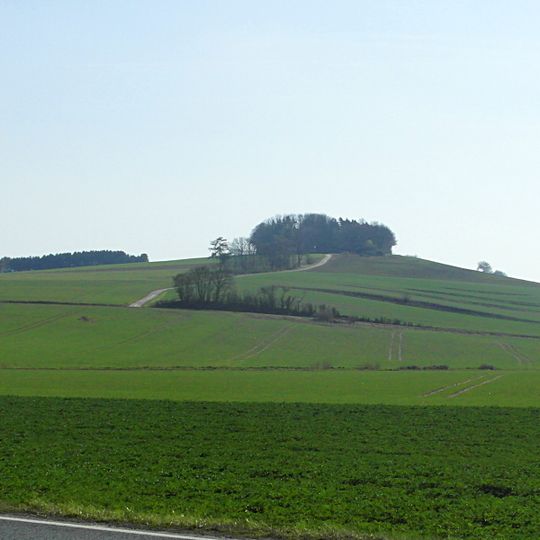 Alter Rodenberg/Altebusch