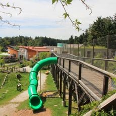 Bear sanctuary Arbesbach