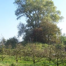 Terrein waarin een vluchtberg/kasteelberg