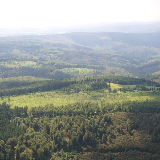 Waldreservat Schanze