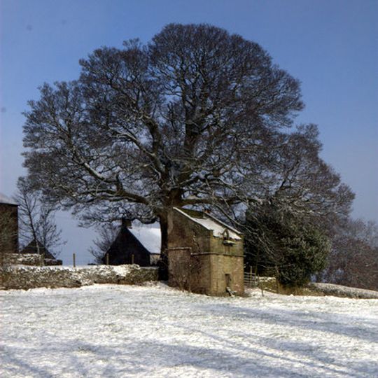 Mains of Rochelhill Farm