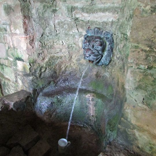 "Lauvas mutes" avots