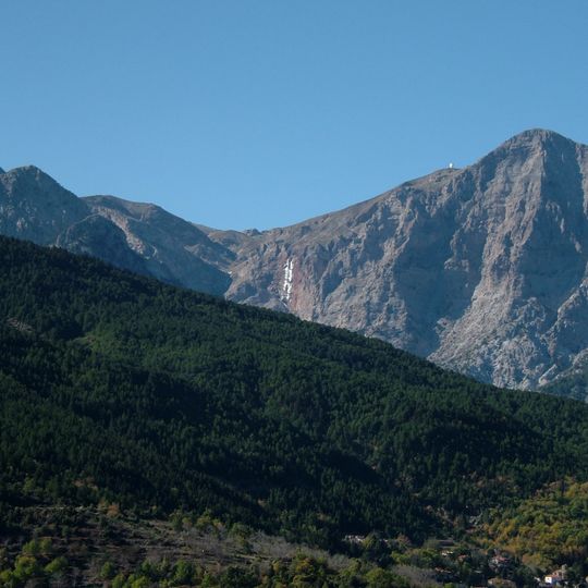 Aroania