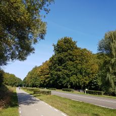 Platte Bosch