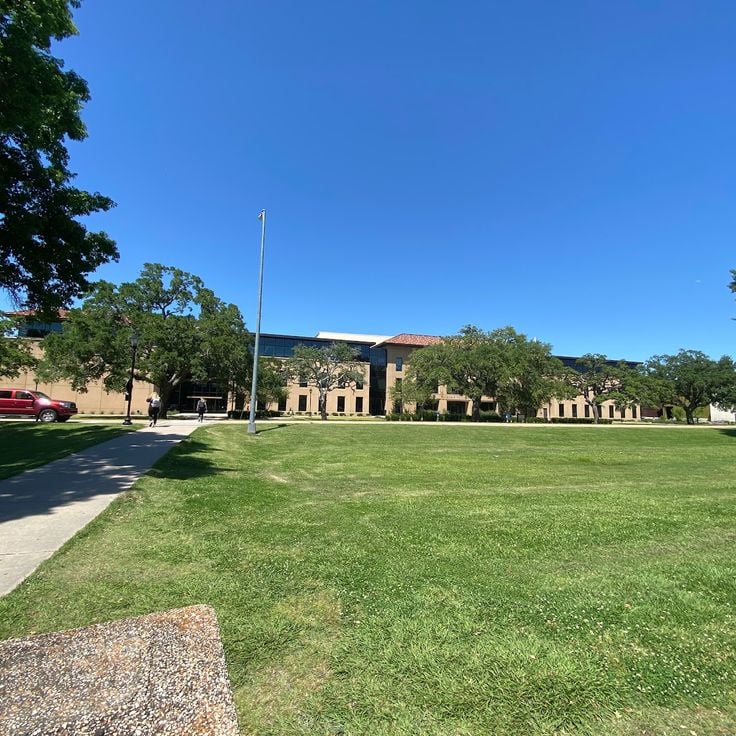 Louisiana State University