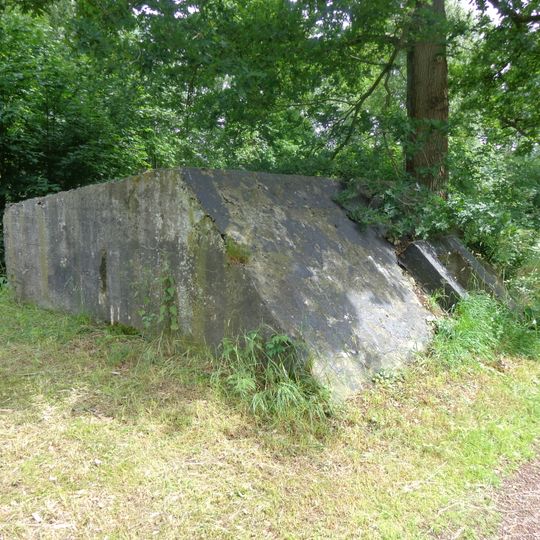 Fort Hoofddijk: Schuilplaatsen type 1918/I
