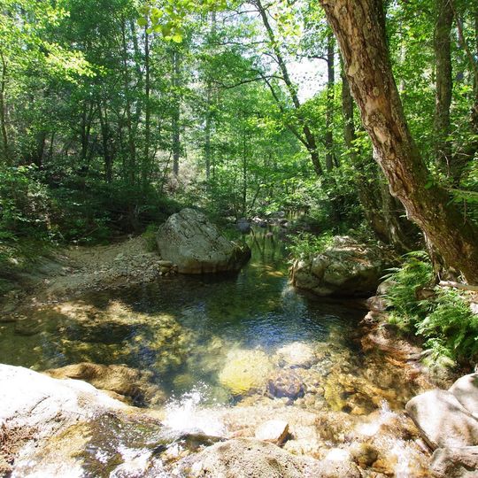 Camping Municipal Zonza