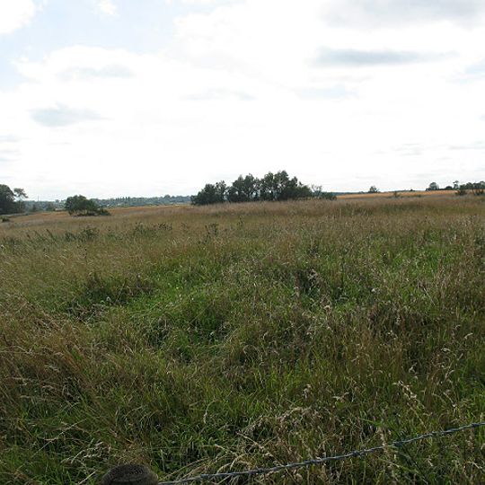 Moated site and associated earthworks south-west of Home Wood