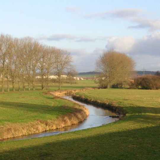 Vogelschutzgebiet Schwalmniederung bei Schwalmstadt