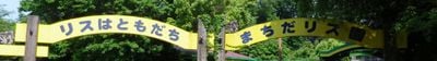 Panoramic View 2
