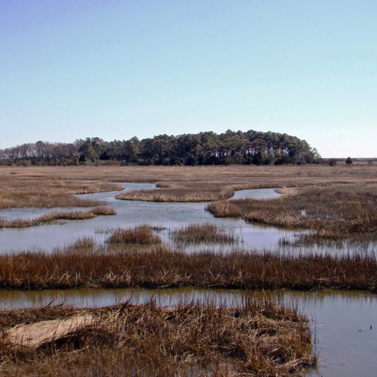 Eastern Shore of Virginia National Wildlife Refuge