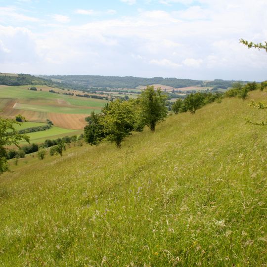 Larris Et Tourbières De Saint-Pierre-Es-Champs