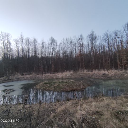 Naturdenkmal Libellensee Gemeindewald „Großer Uhlberg“ Distrikt I