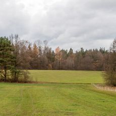 Rodungsinseln im Reichswald