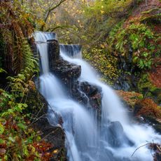 Birks of Aberfeldy