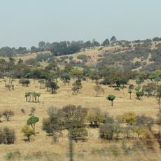 Witbank Nature Reserve