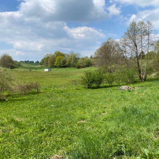 NSG Wilhelmsthaler und Haller Bachtal