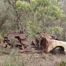 Abandoned car