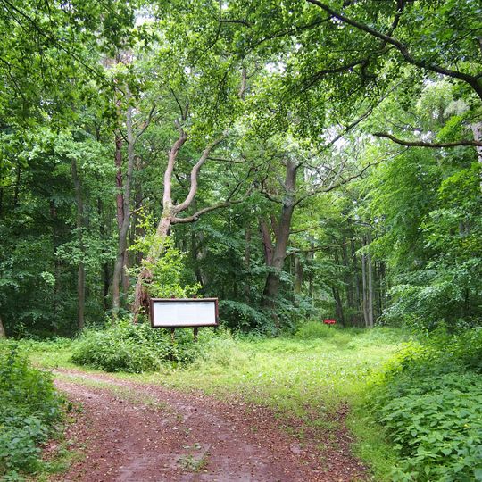 Nature reserve Łazy