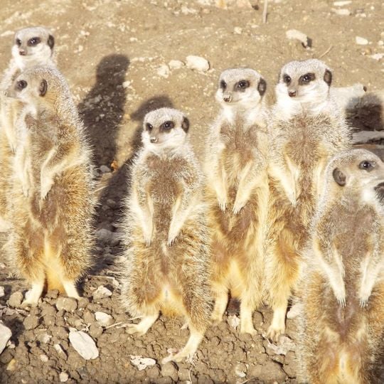 Tilgate Nature Centre